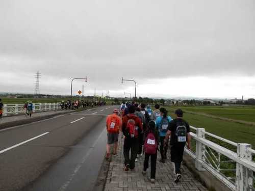 6P6180597D.jpg