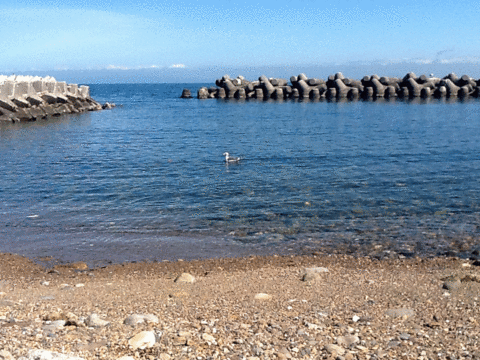 IMG_3862-MOTION.gif