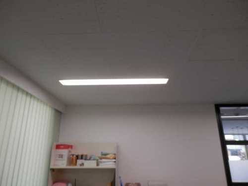 P8090614D.jpg